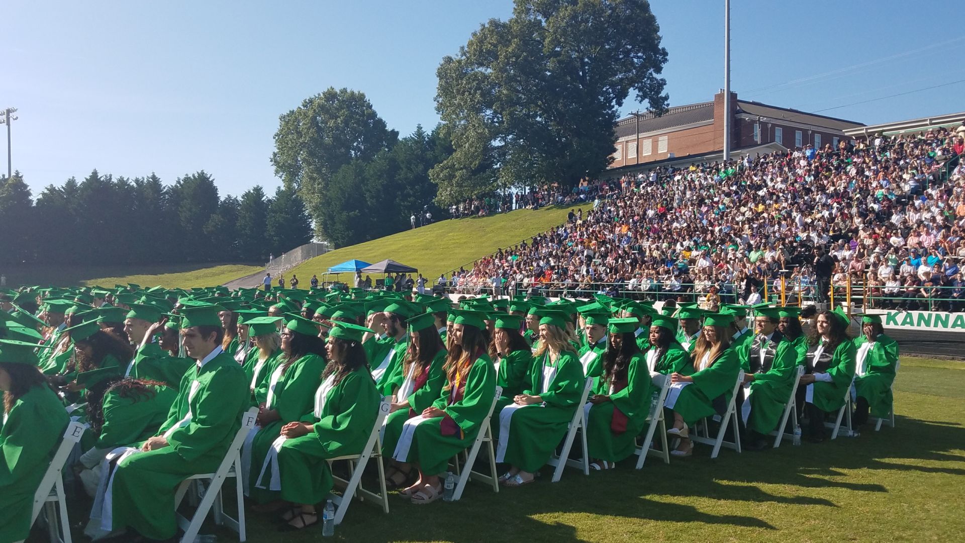 Brown15.jpg